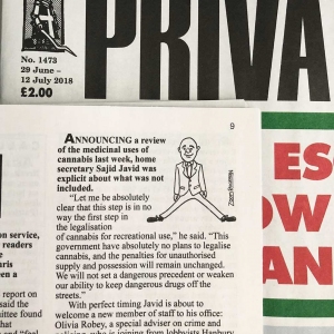 PrivateEye13a