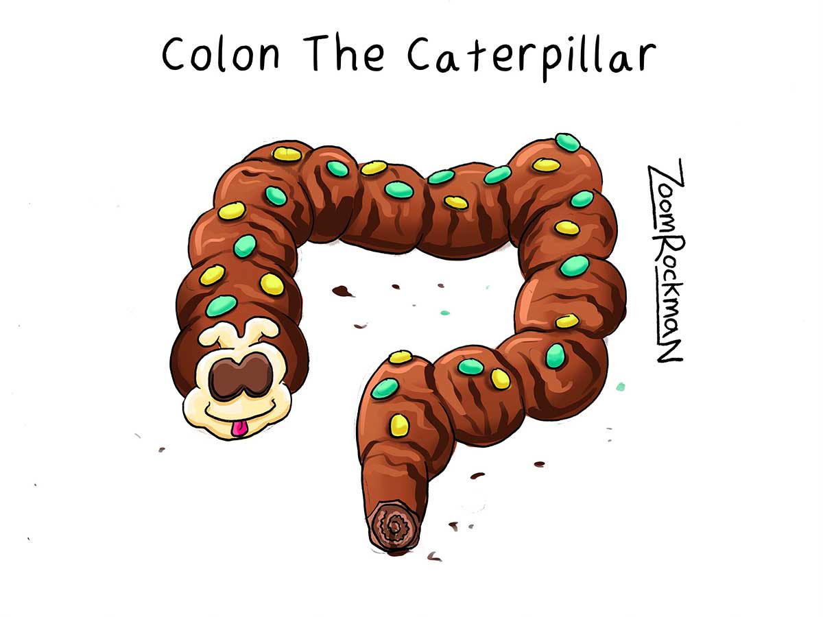 Colon The Caterpillar